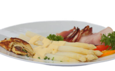 Unsere aktuellen Empfehlungen